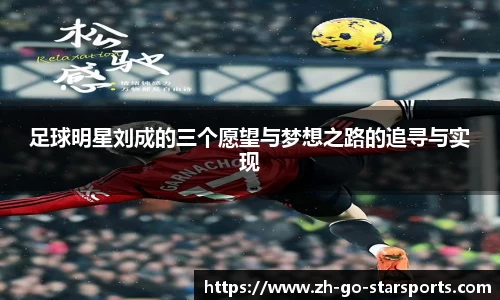 足球明星刘成的三个愿望与梦想之路的追寻与实现